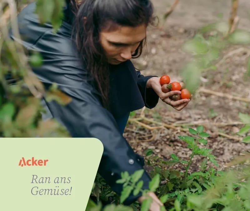 acker-newsletter.webp