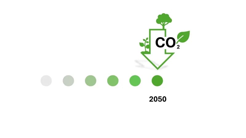 green-claims-kritik.webp